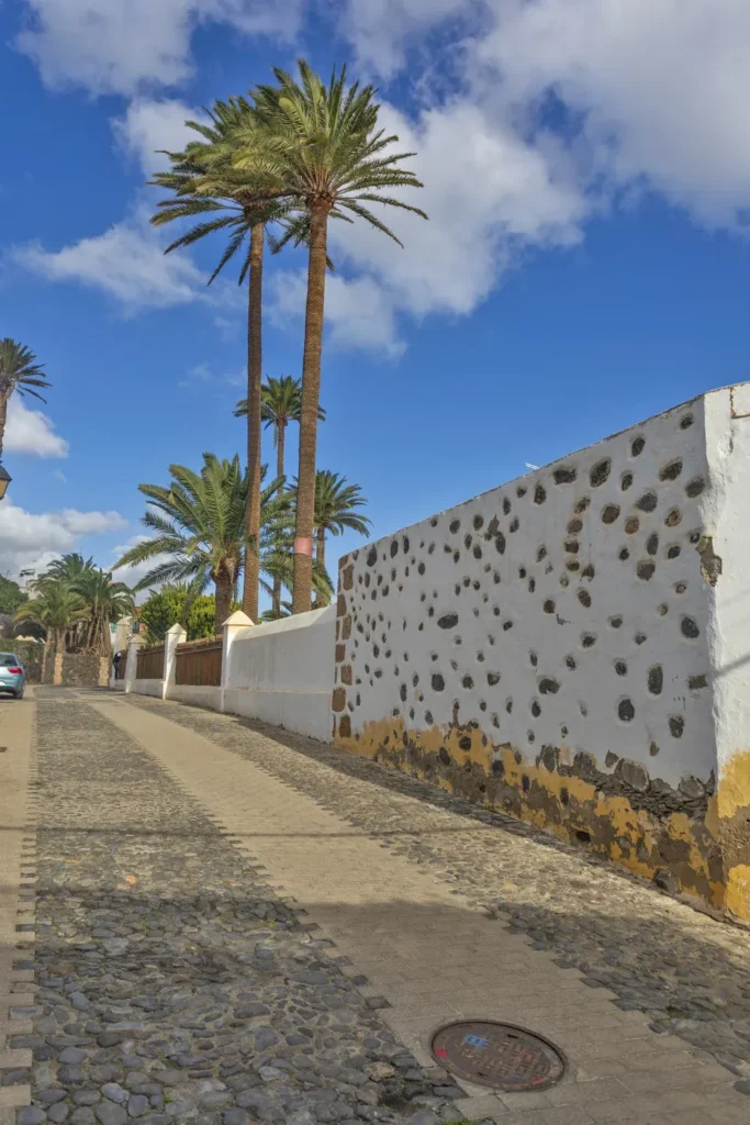 Calle empedrada del casco histórico de Telde, con muro encalado de piedra volcánica y palmeras canarias